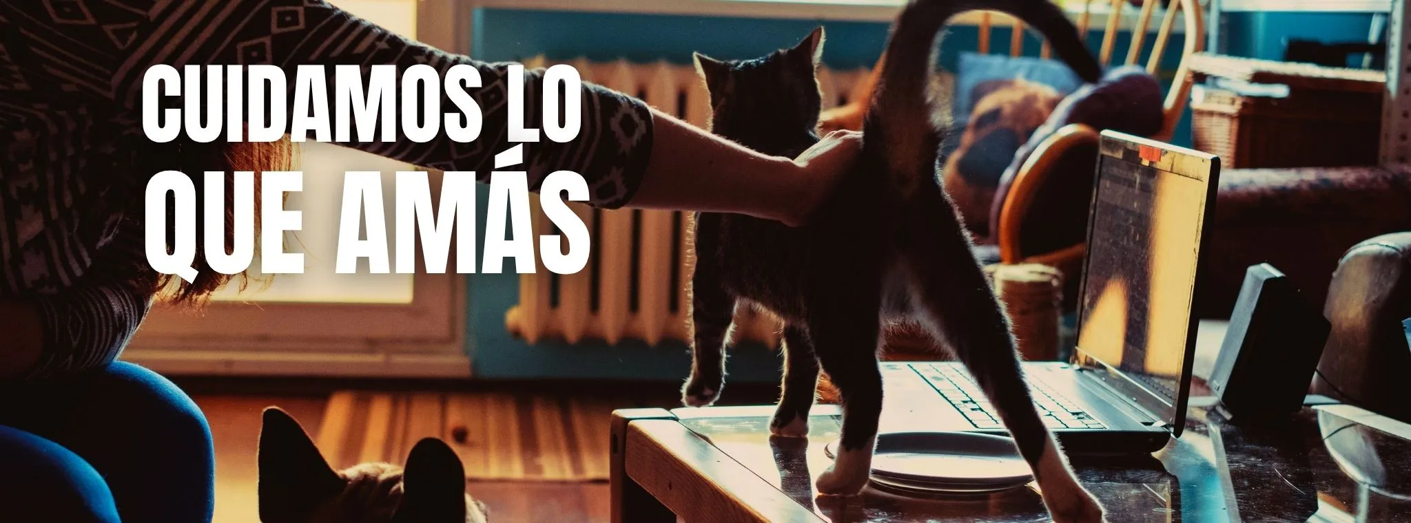 Rubicat Cuidamos lo que amás