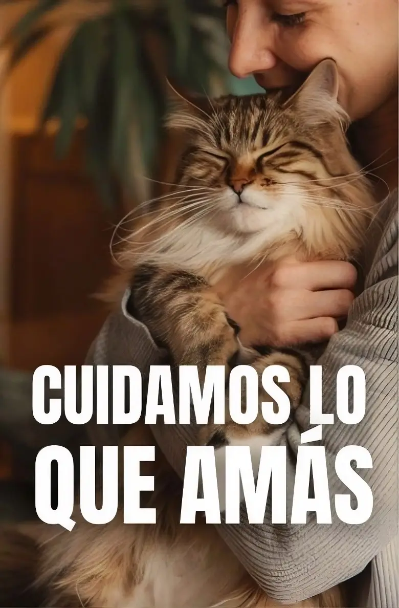 Rubicat Cuidamos lo que amás